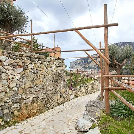 Rivierarent Ulivo *